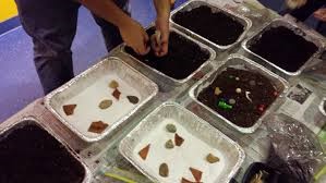 Archaeology in the Classroom - Copy